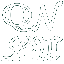 QNLW Logo